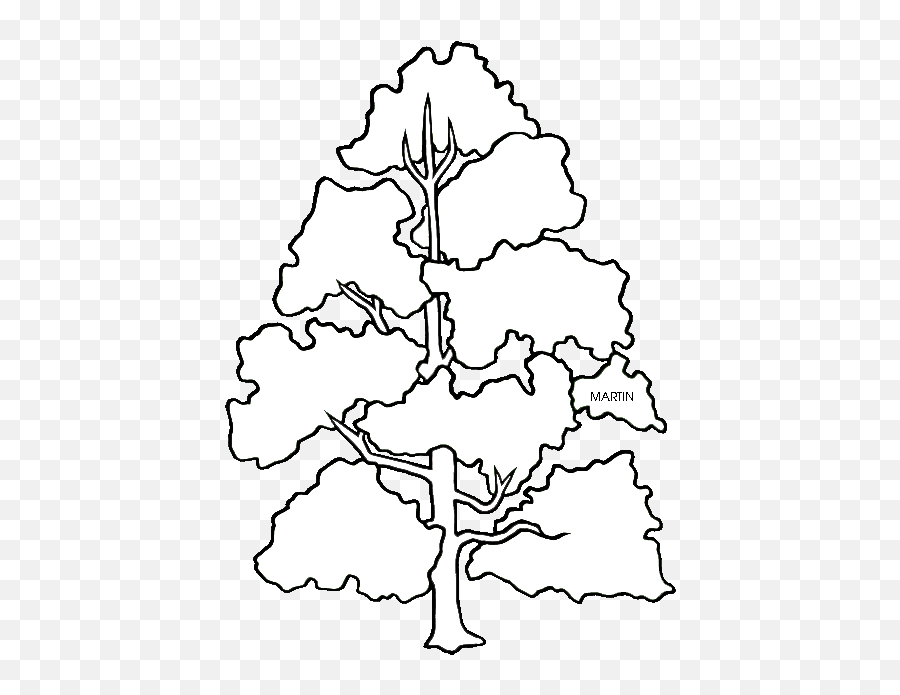 Phillip Martin Indiana State Tree - Tennessee State Tree Clip Art Emoji,Indiana Clipart