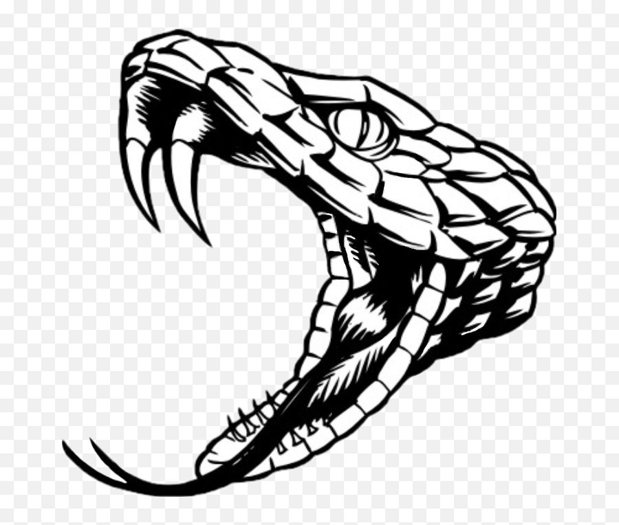 Free Snake Head Cliparts Png Images - Snake Drawing Scary Emoji,Snake Clipart Black And White