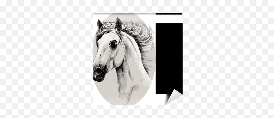 Horse Head Profile Sketch Vector Chart With The Grey Oval Circle Wall Mural U2022 Pixers - We Live To Change Transparent White Horse Head Emoji,Grey Circle Png