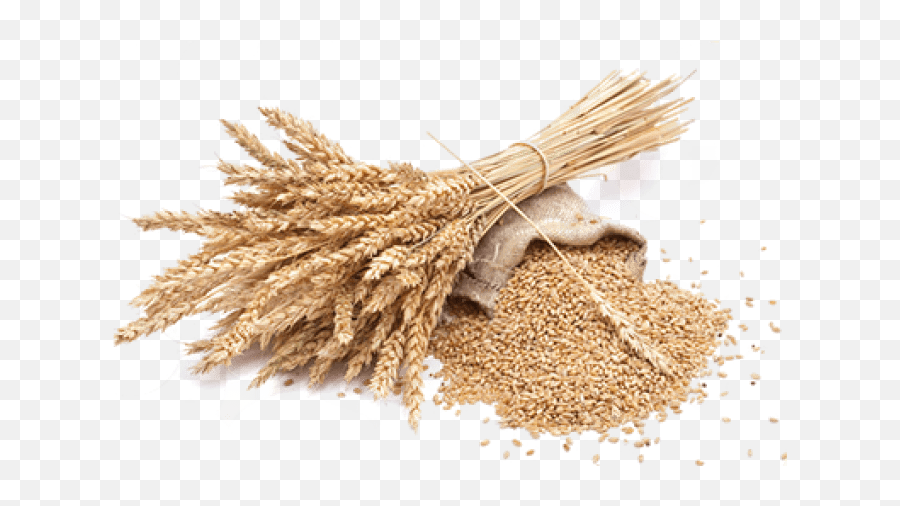 Free Png Wheat Png Images Transparent - Cereal Lider Emoji,Wheat Png