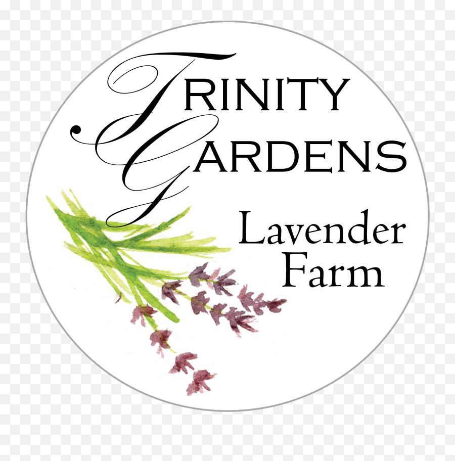 Things To Do Nearby U2014 Trinity Gardens Lavender Farm Emoji,Lavender Clipart Black And White