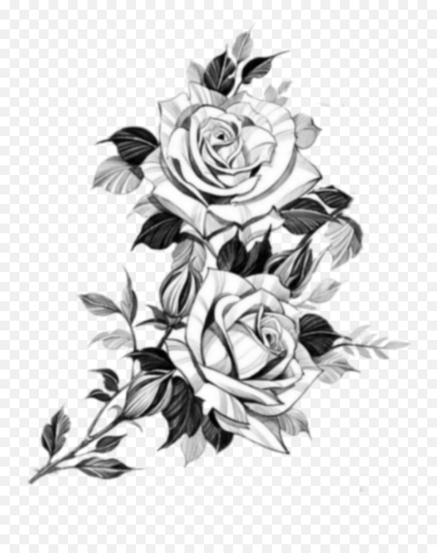 Flower Sketch Blackandwhite 351384370047211 By Tracymarma Emoji,Flower Sketch Png