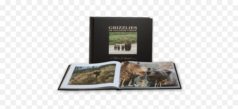 Grizzlies Of Pilgrim Creek - Photographic Paper Emoji,Grizzly Bear Png