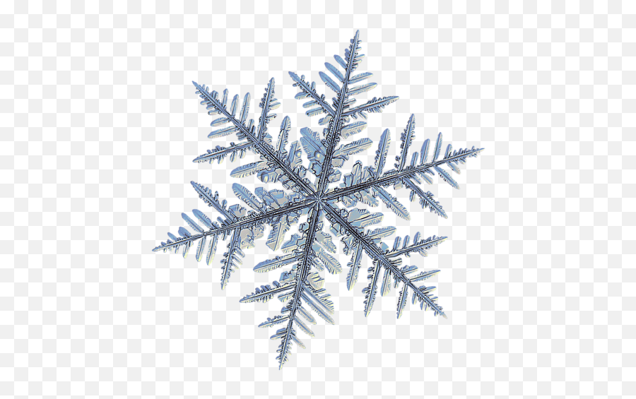 Real Snowflake - Silverware Black Tshirt Real Snowflaks Emoji,Snowflakes Transparent