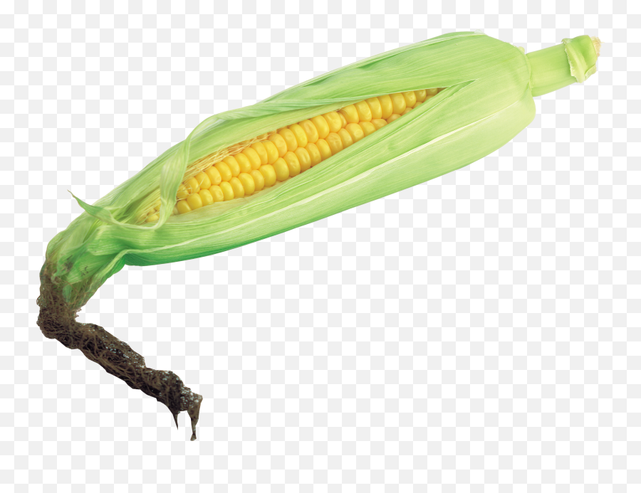 Corn Clipart Png - Corn Transparent Background Emoji,Corn Clipart