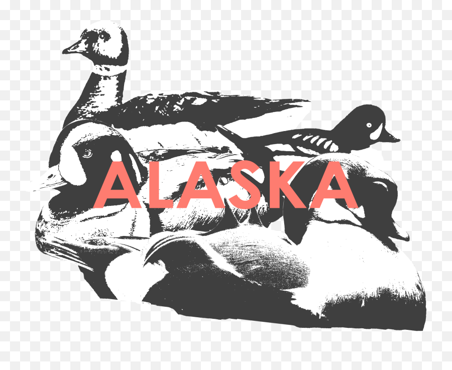 Alaska U2014 Hunt 41 - Domestic Duck Emoji,Ak Png