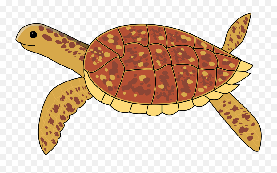 Turtle Clipart Free Download Transparent Png Creazilla - Loggerhead Sea Turtle Emoji,Turtle Clipart