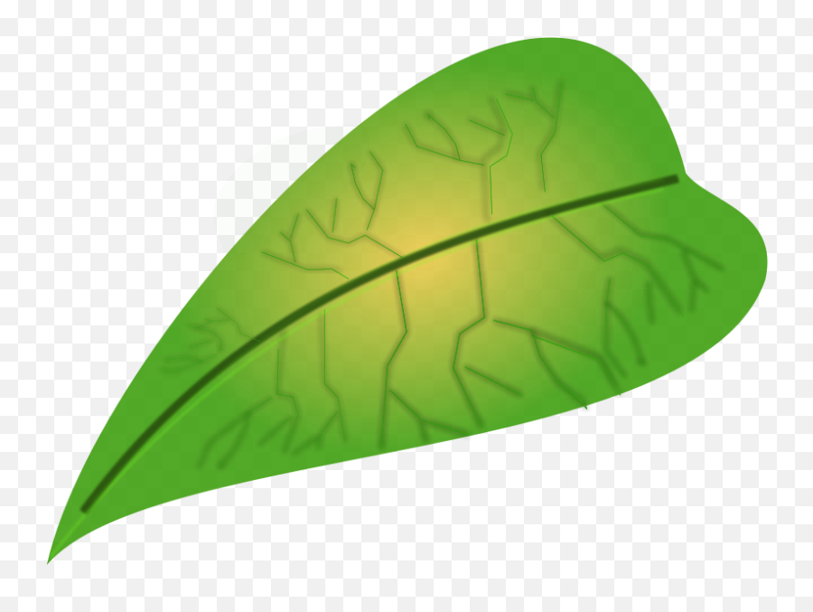Jungle Leaves - Clipart Best Clip Art Leaf Clipart Best Leaf Small Size Emoji,Leaf Clipart
