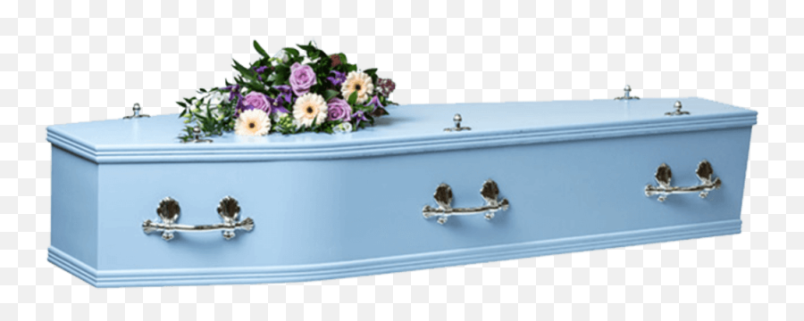 Colour Coffins - Cardboard Coffin Company Emoji,Coffin Transparent
