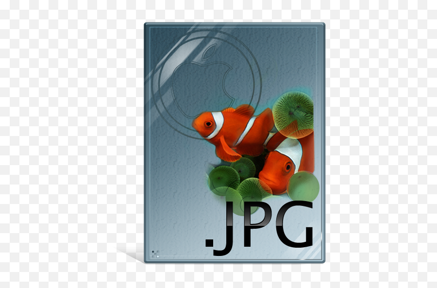 Free Jpeg Icon Jpeg Icons Png Ico Or Icns - Ocellaris Clownfish Emoji,Jpeg Or Png