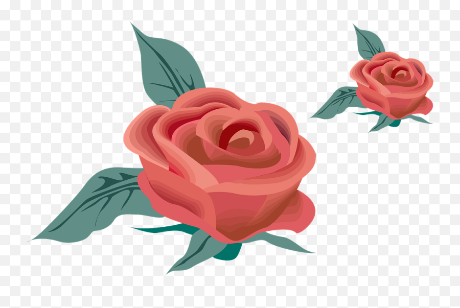 Red Rose Flower Nature Fragrance Rose - Free Image From Emoji,Red Rose Transparent Background