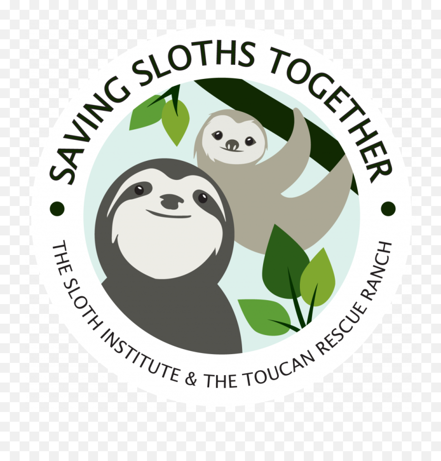 The 4th Annual Sloth Ironman Games Starts October 20 Emoji,Transparent Sloth