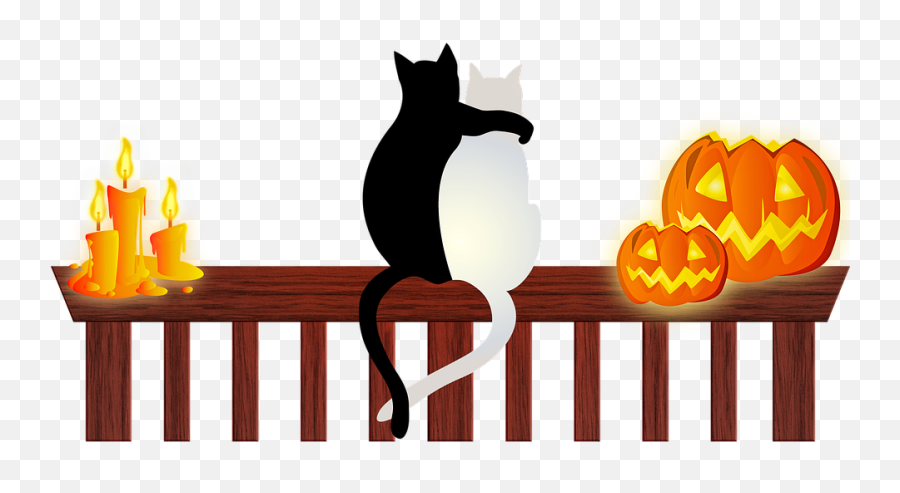 Halloween Cats Halloween Candle Halloween Pumpkin - Cats Black And White Cat In Love Emoji,Halloween Pumpkin Clipart