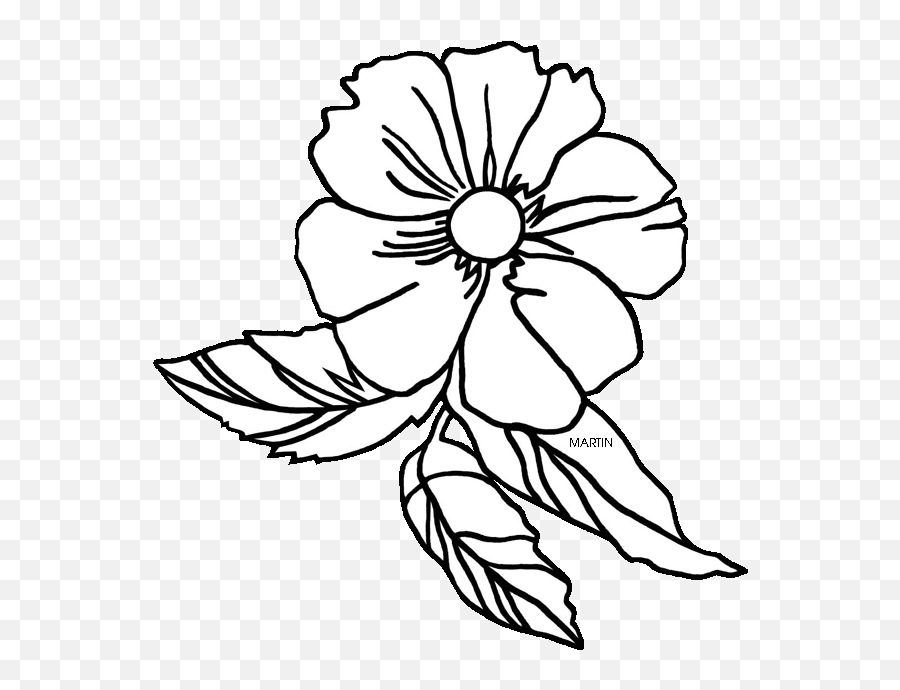 Coloring Clipart Rose Coloring Rose Transparent Free For - Drawing Rosa Laevigata Emoji,Rose Clipart Black And White