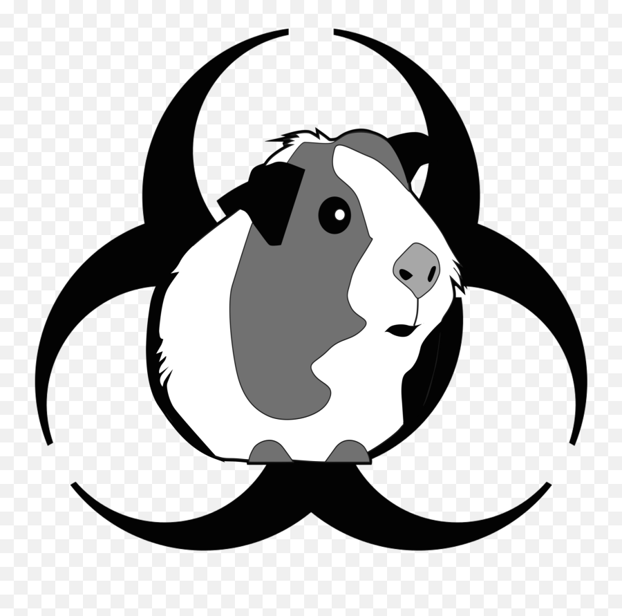 Attack Of The Peruvian Guinea Pig Death Flu - Guinea Pig Can Guinea Pigs Drink From A Bowl Emoji,Guinea Pig Clipart