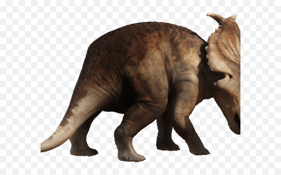 Walking With Dinosaurs Pachyrhinosaurus - Animal Figure Emoji,Triceratops Clipart