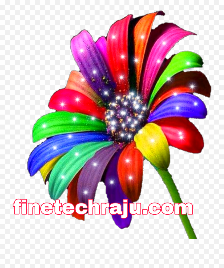 Colourful Nature Png Image Single Flower And Transparent - Girly Emoji,Nature Png