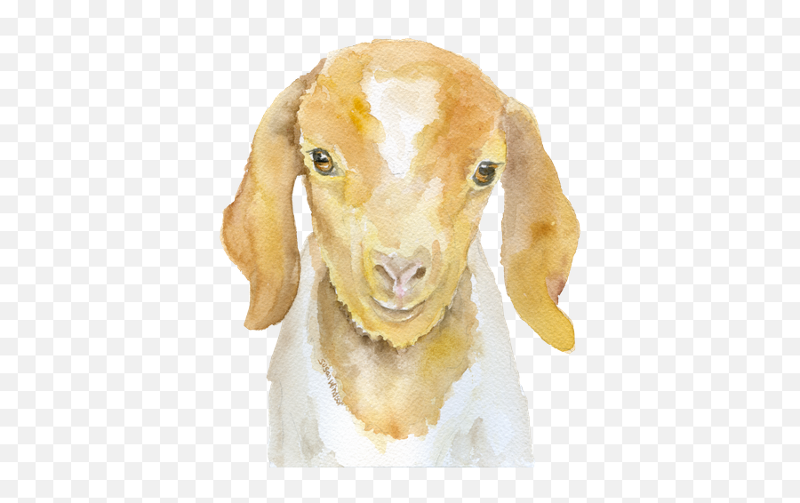 Nubian Goat Head Watercolor Comforters By Susan Windsor Emoji,Goat Head Png