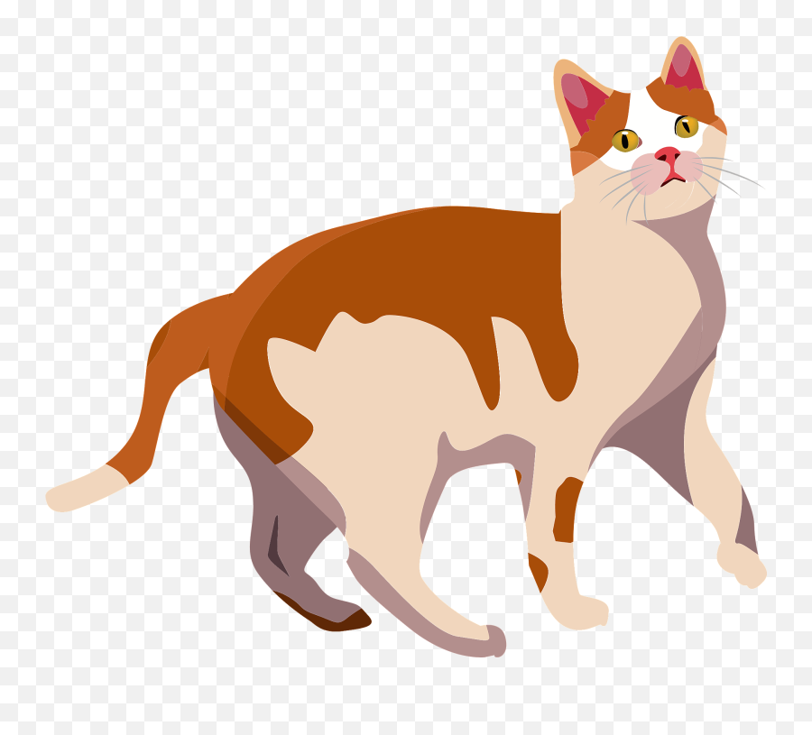 Orange And White Cat Clipart Free Download Transparent Png Emoji,Cat Ears Clipart