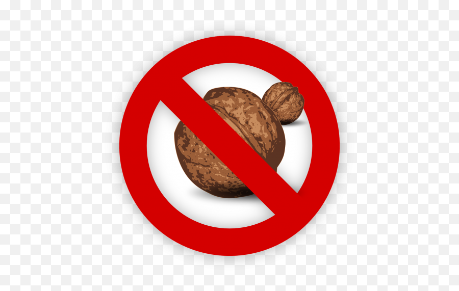 Nut Public Domain Image Search - Freeimg Emoji,Hazelnut Clipart