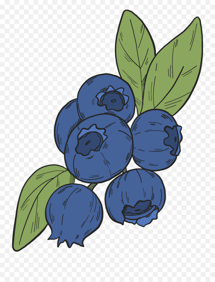 Blueberry Clipart - Blueberries Clipart Emoji,Blueberry Clipart