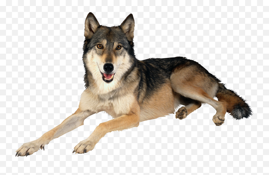 Wolf Clipart Png - Wolf Png Emoji,Wolf Clipart