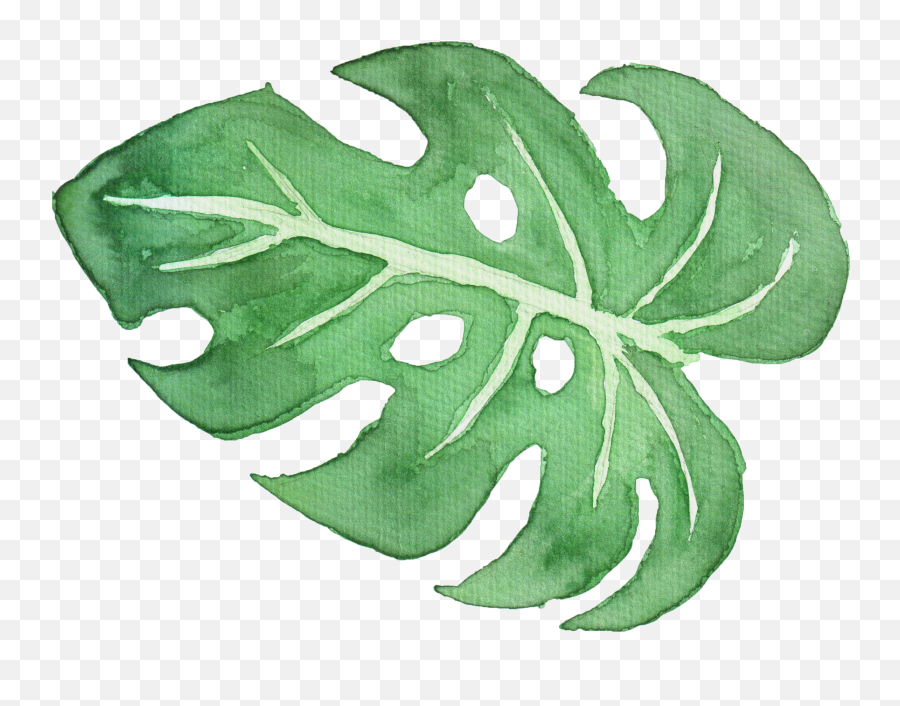 Download Tropical Leaf Watercolor Png - Tropical Leaf Clipart Watercolor Emoji,Watercolor Png
