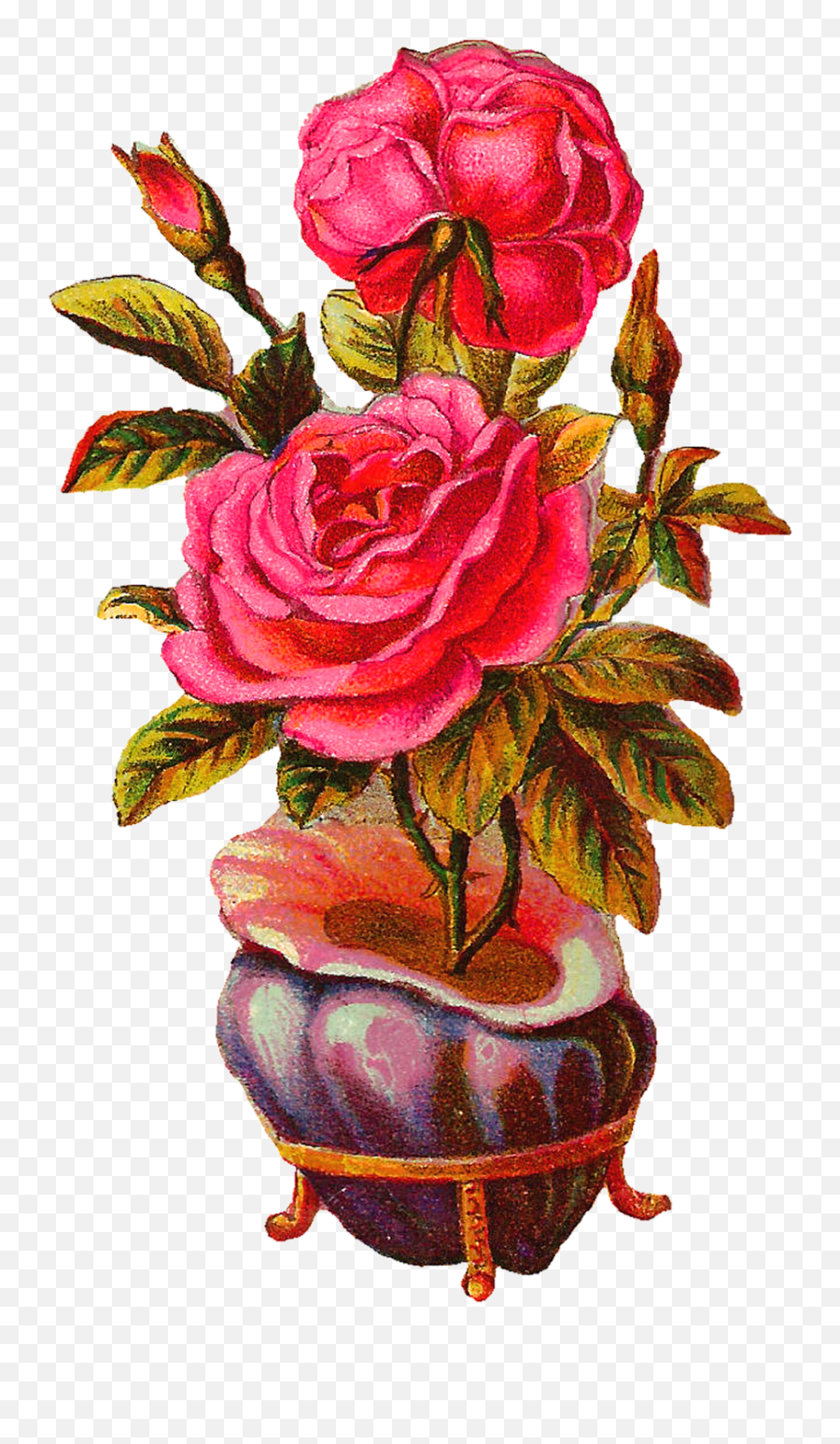 Victorian Clipart Vase - Transparent Vintage Botanical Png Emoji,Victorian Clipart
