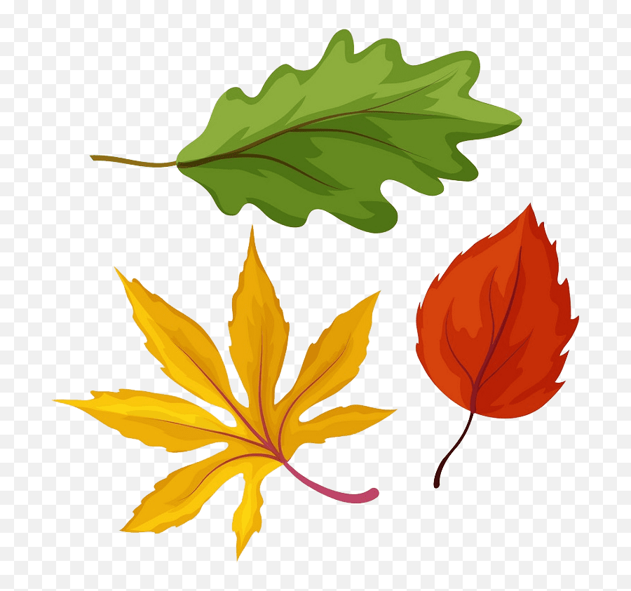 Fall Leaves Clipart Transparent 4 - Clipart World Emoji,Falling Leaves Transparent