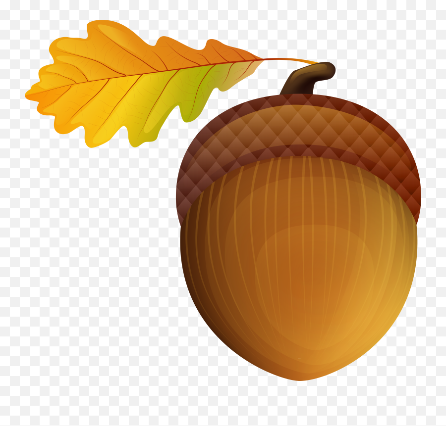 Download Acorn Png Png Image With No Background - Pngkeycom Emoji,Hazelnut Clipart