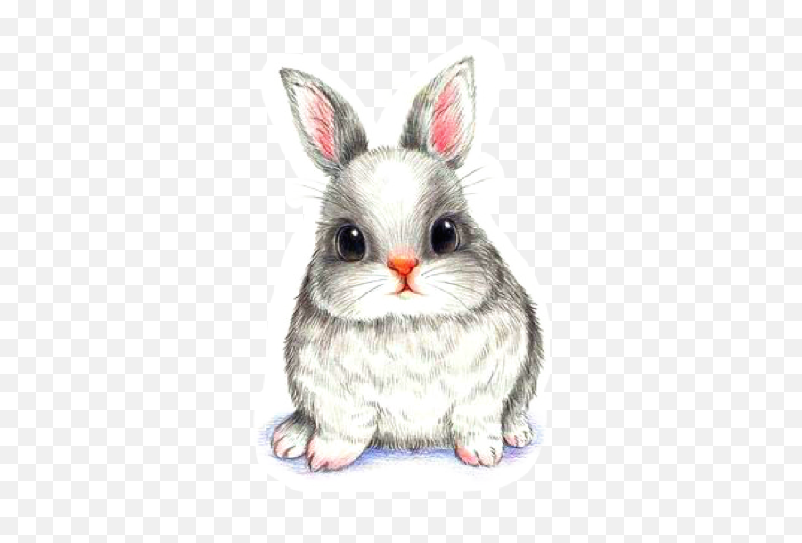 Easter Bunny Sticker Challenge On Picsart Emoji,Snowshoe Clipart