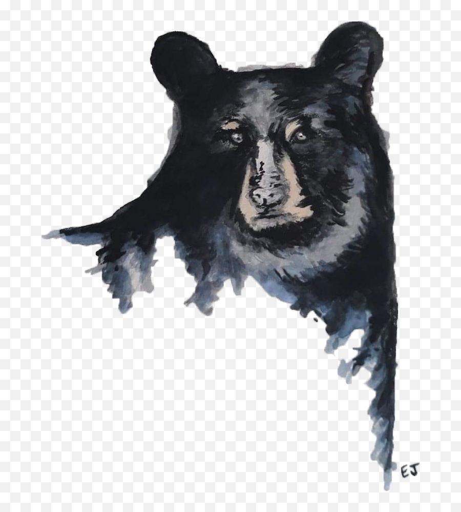 Black Bear U2014 All Articles U2014 In Our Nature Emoji,Black Bear Png