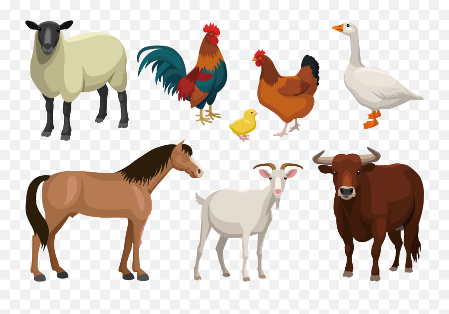 1500 X 1500 6 - Clipart Farm Animals Png Emoji,Animals Png