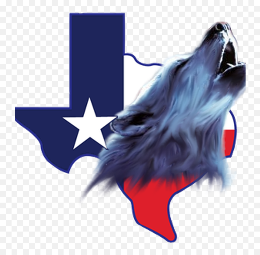 Texas Speed Cam Logo Transparent Png - Free Download On Tpngnet Emoji,Texas Flag Transparent