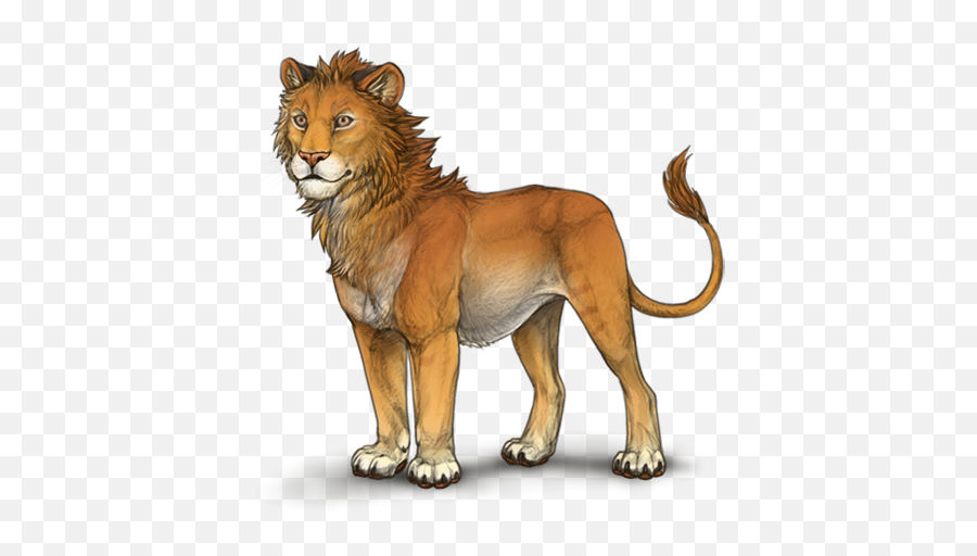 Guide How To Post Images Lioden - Teenage Lion Lioden Lineart Emoji,Make Image Transparent