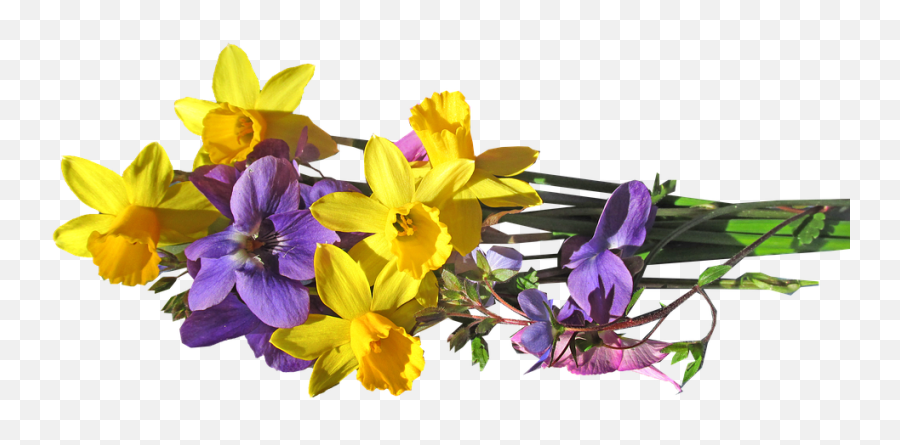 Download Flower Bunch Spring - Yellow Purple Flowers Png Emoji,Purple Flowers Png