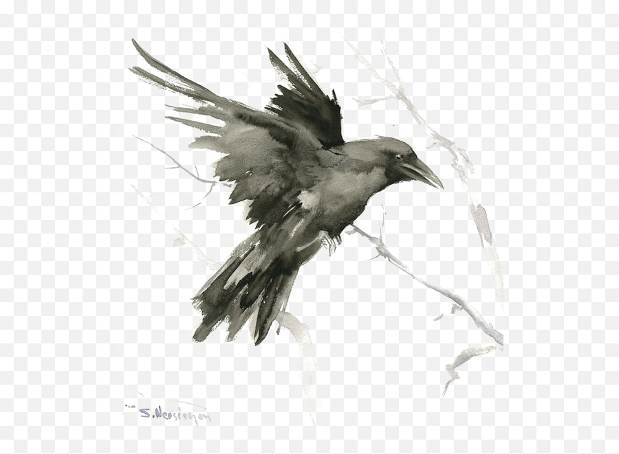 Download Tattoo Art Crow Drawing Common Bird Raven Clipart - Flying Raven Emoji,Raven Clipart