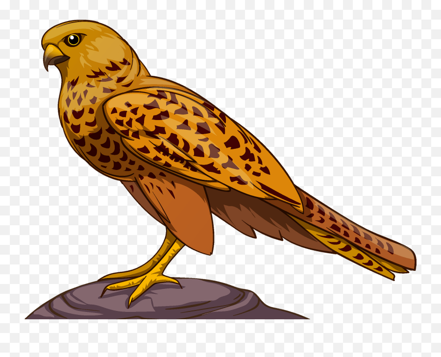 Falcon Clipart - Falcon Clipart Emoji,Falcon Clipart