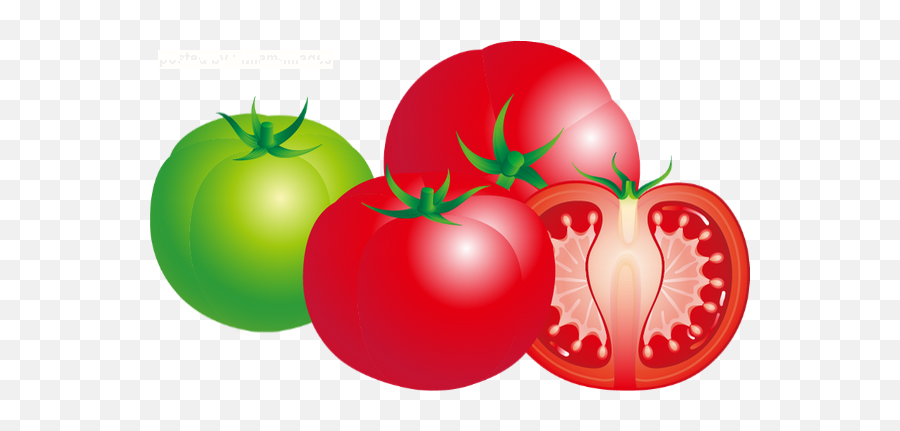 Tube Légume Tomates Png Tomatoes Clipart Pomodori Emoji,Tomatoes Clipart