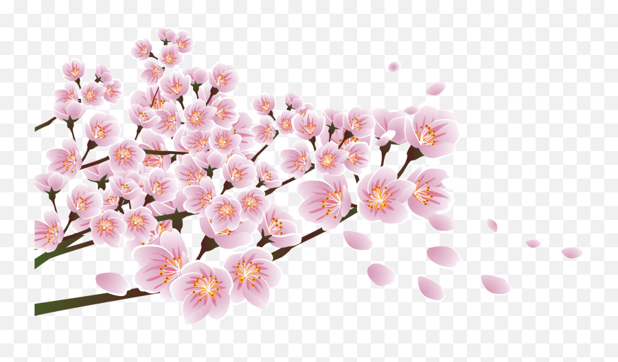 Download Download Flower Floral Design Blossom - Ppt Full Emoji,Transparent Ppt