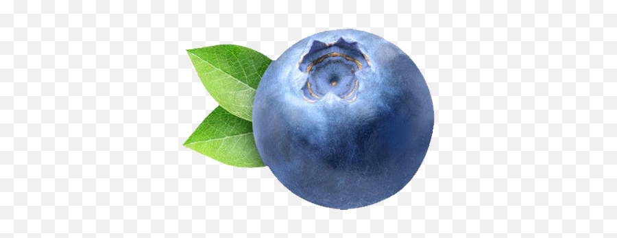 Blueberry Png Clipart - Blueberry Clipart Emoji,Blueberry Clipart