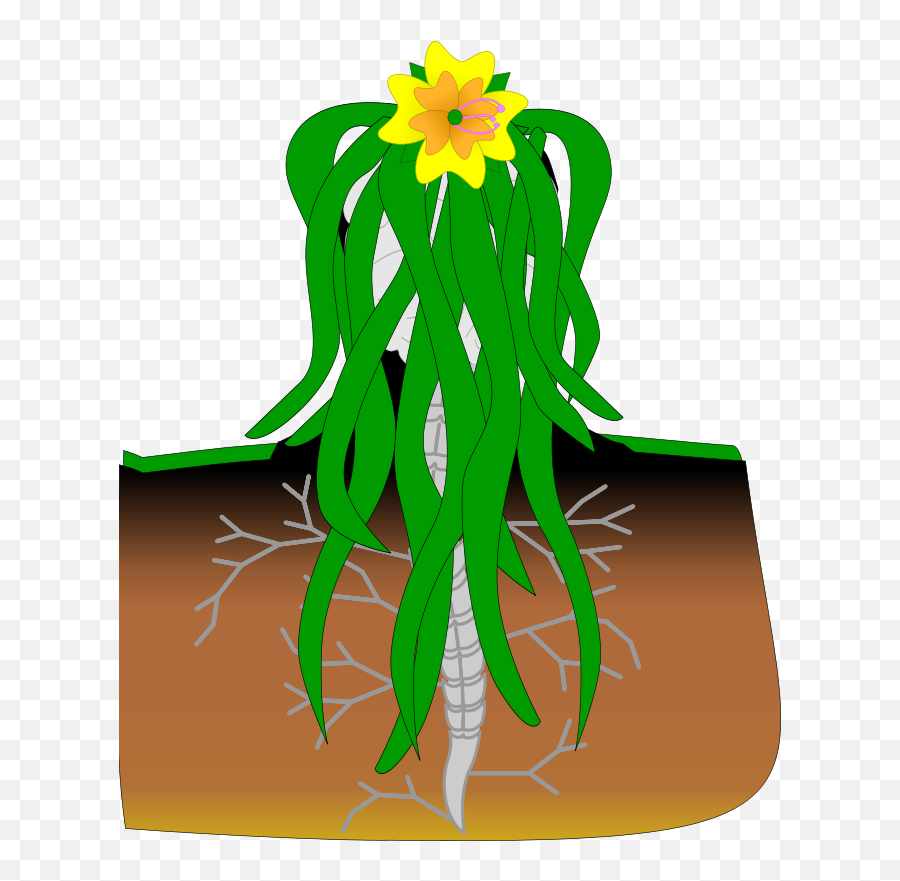 Cartoon Underground Plant Clipart Free - Columna Vertebral Plantas Emoji,Plant Clipart