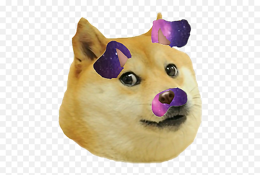 Download Hd Doge Transparent Background - Doge Gif Emoji,Doge Transparent Background