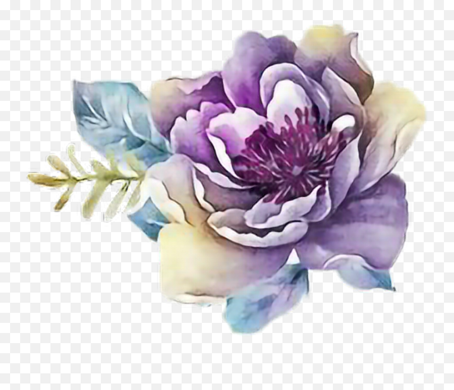 Ftestickers Art Rose Purple - Transparent Purple Watercolor Flowers Png Emoji,Watercolor Png