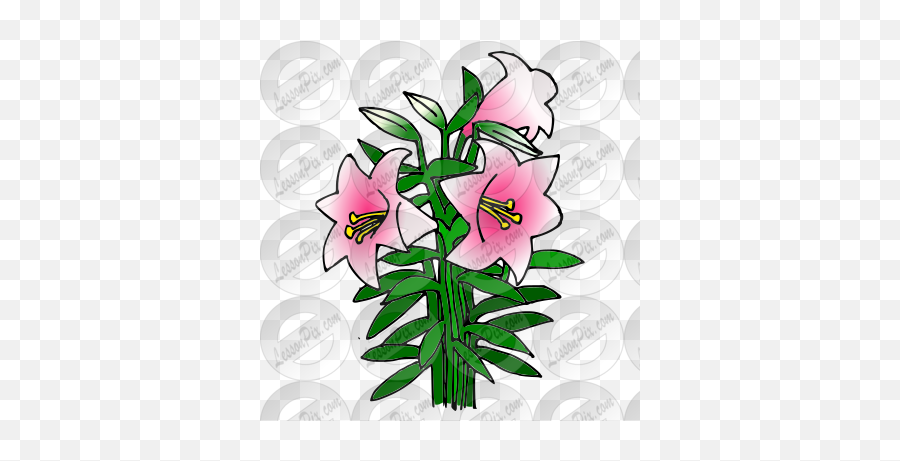 Lilies Picture For Classroom Therapy Use - Great Lilies Emoji,Lilies Png
