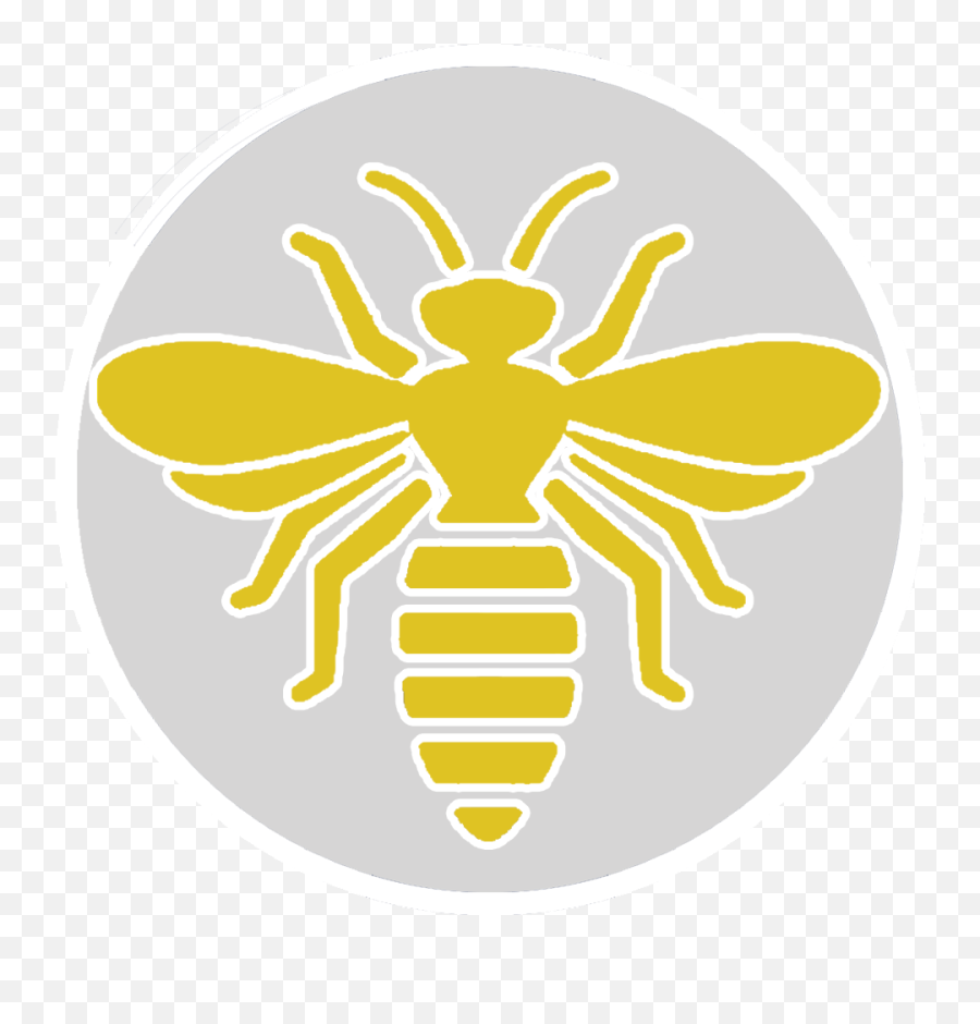 Download Contact Us Today - Hornet Png Image With No Emoji,Hornet Png