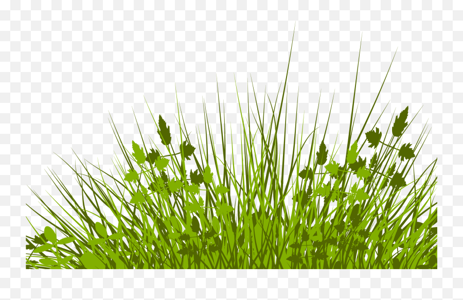 Silhouette Royalty - Free Clip Art Grass Png Download 2500 Pretty Grass Png Emoji,Grass Clipart
