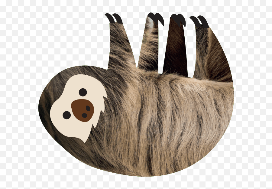 Linnéu0027s Two - Toed Sloth Choloepus Didactylus Meet The Emoji,Transparent Sloth