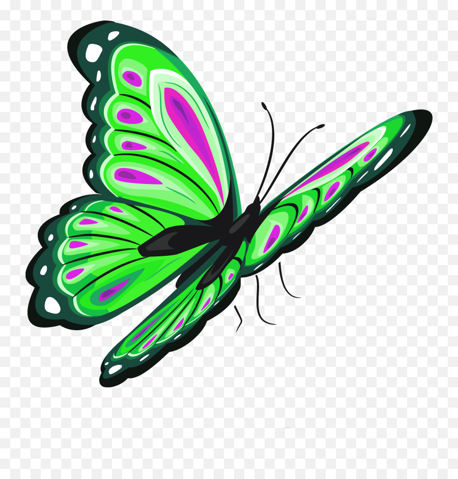 Flying Butterflies Png - Clipart Best Butterfly Clipart Transparent Emoji,Green Png