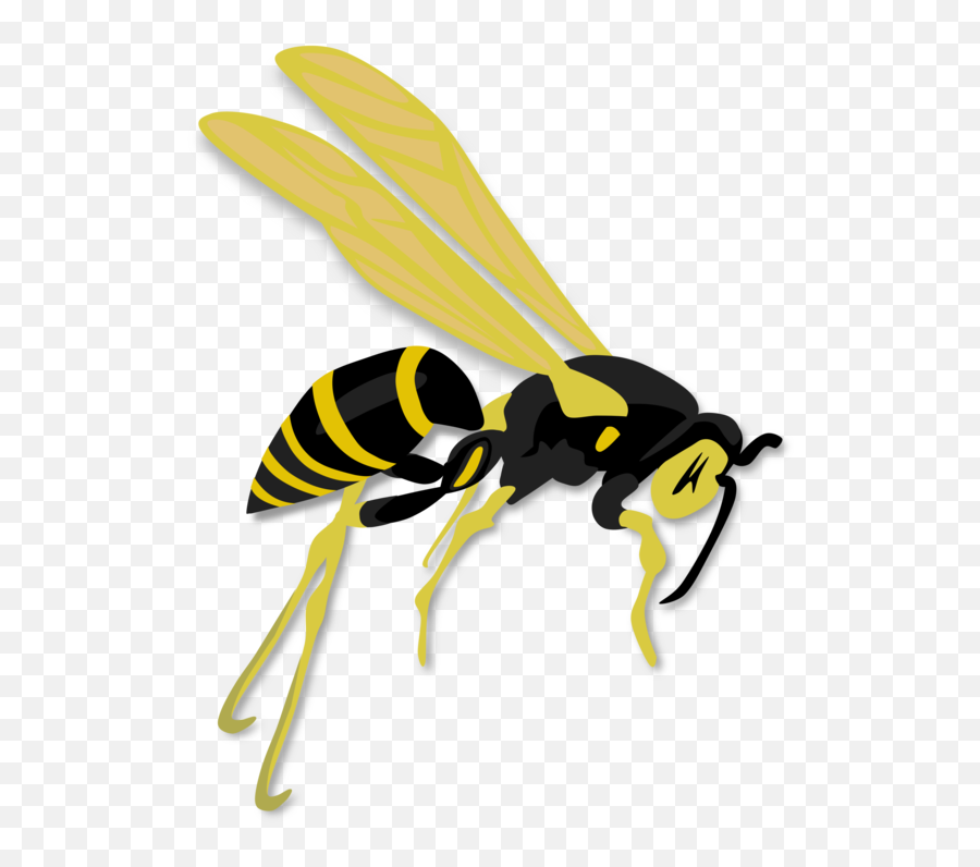 Fly Honey Bee Wasp Png Clipart - Wasp Vector Emoji,Hornet Clipart